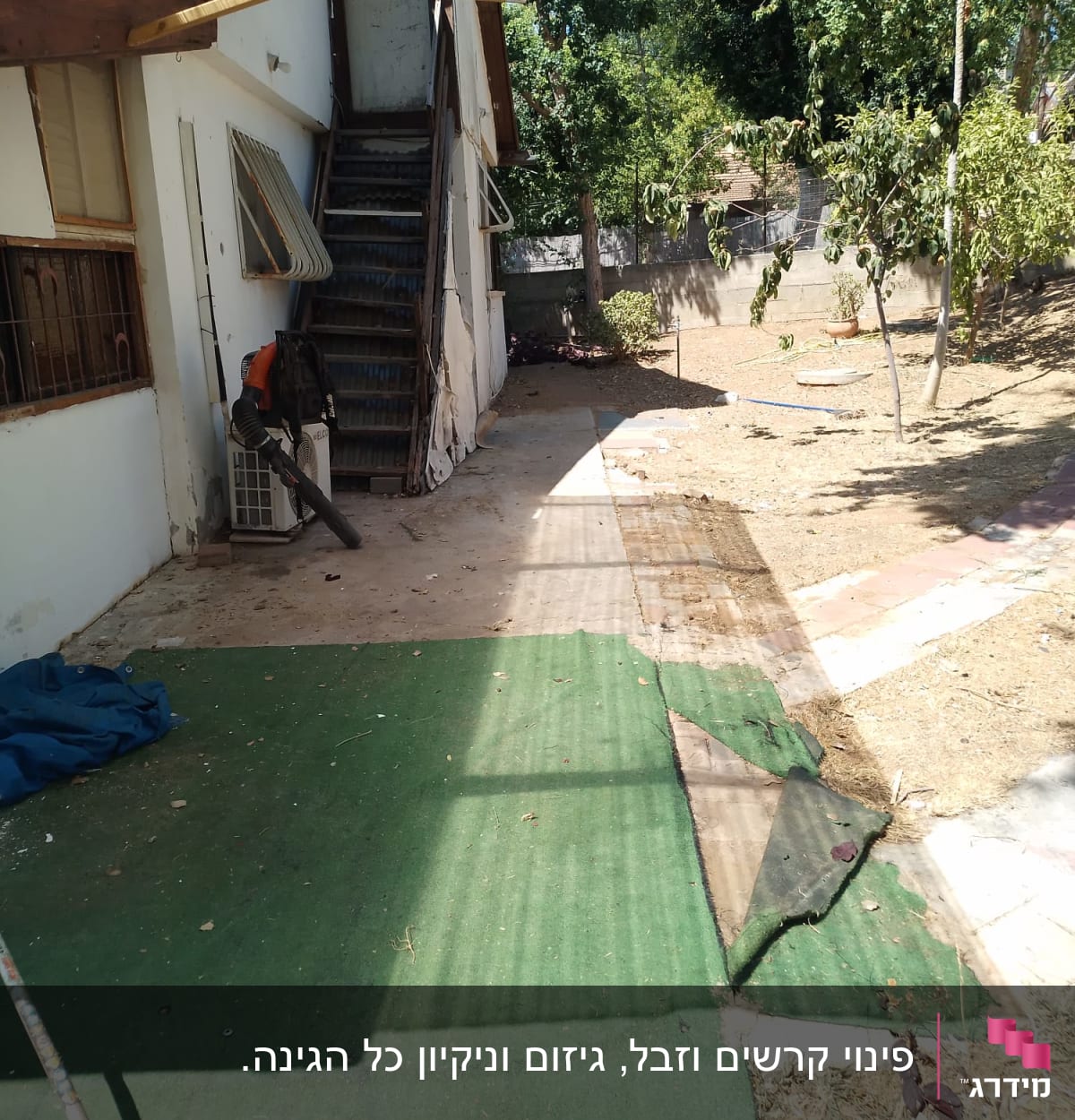 מגרפה על הקרקע ליד עצים בגינה